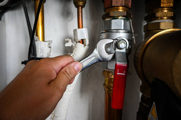 Best Best Plumbers Near Me  in Travis Ranch, TX